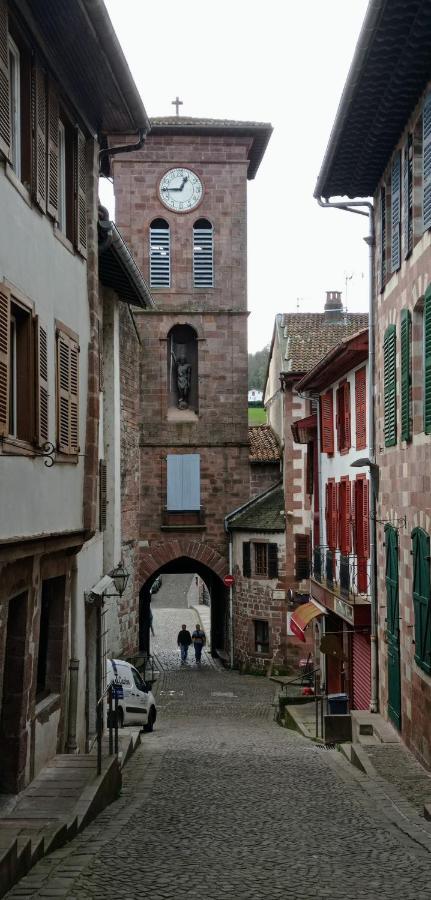 Saint Jean Pied De Port. Centre Ville. Rue Pietonne Ngoại thất bức ảnh