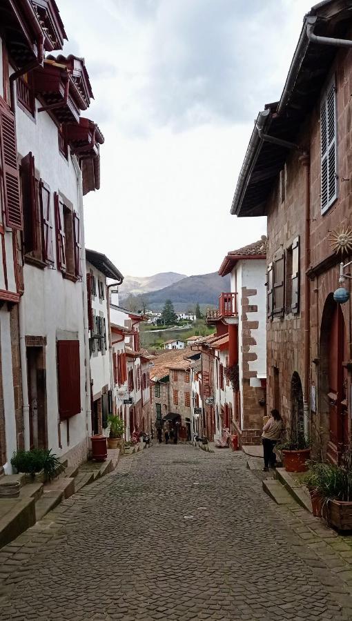 Saint Jean Pied De Port. Centre Ville. Rue Pietonne Ngoại thất bức ảnh
